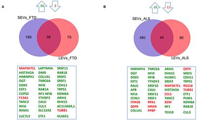 Extracellular Vesicles Derived From Plasma of Patients With Neurodegenerative Disease Have Common Transcriptomic Profiling